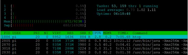 performances of a Raspberry system running an Alfresco instance with Share