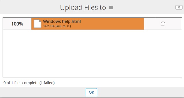 Error Capture HTML File