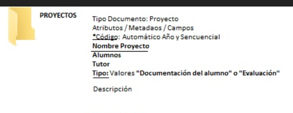 requisito tipo personalizado.PNG